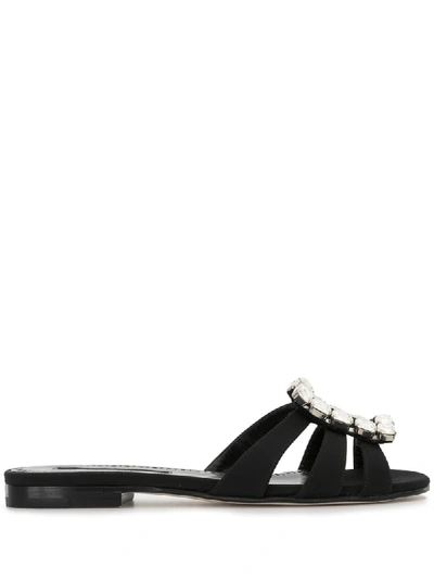Shop Manolo Blahnik Iluna Flat Sandals In Black
