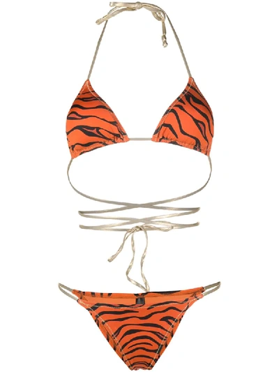 Shop Reina Olga Tiger Print Bikini In Orange