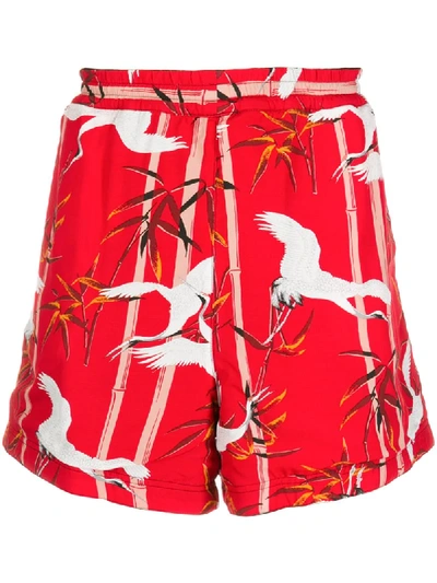 Shop Buscemi Bamboo Print Swim Shorts In Red
