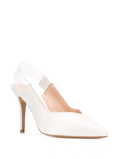 Shop Pinko Snake Embossed Pumps In White