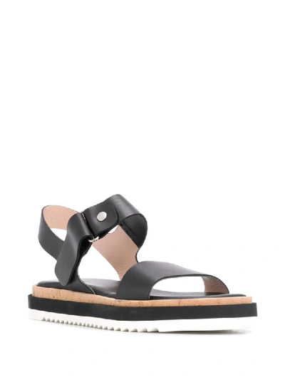 Shop Agl Attilio Giusti Leombruni Contrast Panel Strappy Sandals In Black