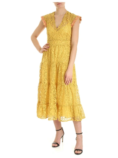 Shop Pinko Dress In Yellow