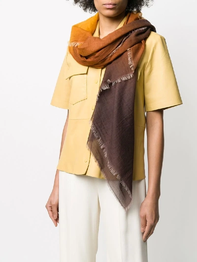 Shop Faliero Sarti Bobby Frayed Edge Scarf In Brown