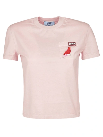 Shop Prada Birth Embroidered T-shirt In Pink