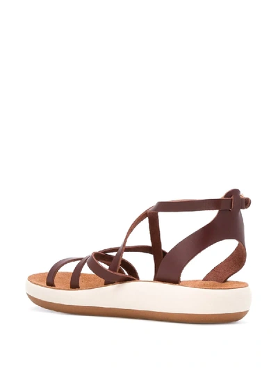 Shop Ancient Greek Sandals Delia Comfort Sandals In Brown