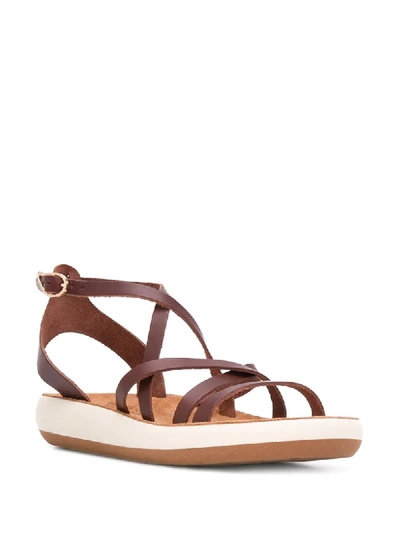 Shop Ancient Greek Sandals Delia Comfort Sandals In Brown