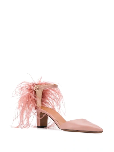 Shop Atp Atelier Monaci Ankle Strap Pumps In Pink