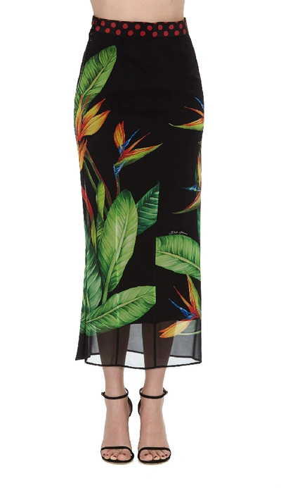 Shop Dolce & Gabbana Strelitzia Print Skirt