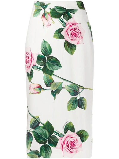 Shop Dolce & Gabbana Skirt Rose In C Rosa Fdo Panna