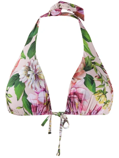 Shop Dolce & Gabbana Bikini Top Flowers In Aj Rosa Fdo.rosa