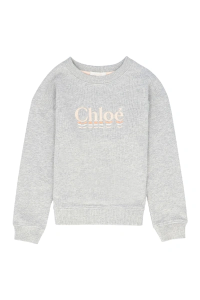 Shop Chloé Cotton Crew-neck Sweatshirt In Grey
