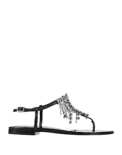 Shop Le Capresi Toe Strap Sandals In Black