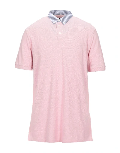 Shop Hackett Polo Shirt In Light Pink