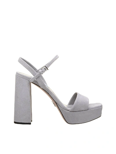 Shop Prada Gray Suede Sandals In Grey