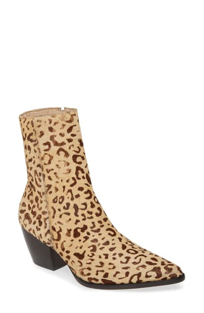 Shop Matisse Caty Western Pointed Toe Bootie In Leopard Print Calf Hair
