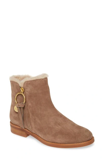 Shop See By Chloé Louise Genuine Shearling Lined Flat Bootie In Taupe