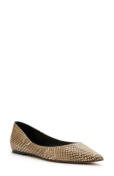 Shop Botkier Annika Pointed Toe Flat In Snake Leather
