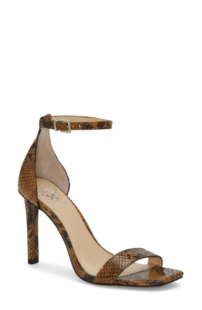 Shop Vince Camuto Lauralie Ankle Strap Sandal In Smokey Brown Leather