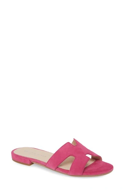Shop Patricia Green Hallie Slide Sandal In Hot Pink Suede