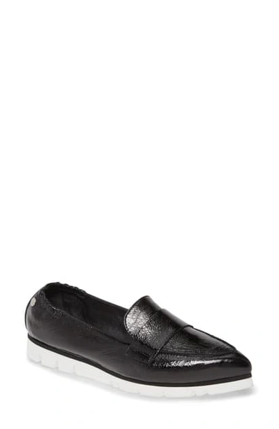 Shop Agl Attilio Giusti Leombruni Micro Pointed Toe Loafer In Black Glammy
