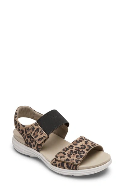 Shop Aravon Beaumont Sandal In Leopard Print Leather