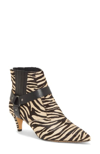 Shop Vince Camuto Merrie Harness Pointed Toe Bootie In Natural/black Calf Hair