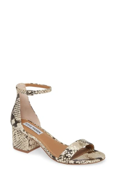 Shop Steve Madden Irenee Ankle Strap Sandal In Gold Snake Print