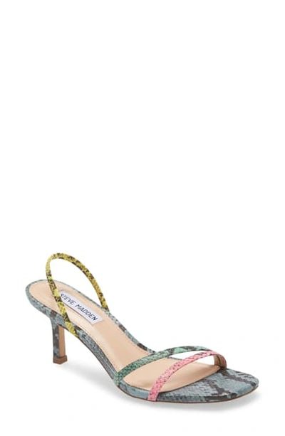 Steve Madden Loft Slide Sandal In Multi Snake Print ModeSens