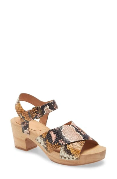 Shop Madewell The Johanna Clog Sandal In Snake Print