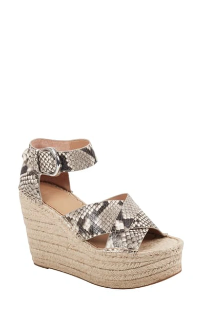 Shop Marc Fisher Ltd Amarily Ankle Strap Genuine Calf Hair Espadrille Wedge In Grey Snake Print Leather