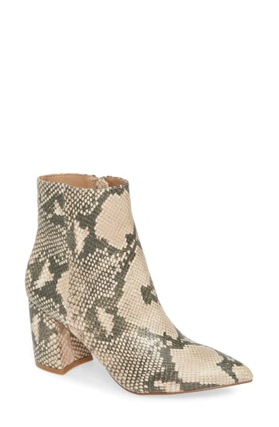 Shop Steve Madden Nadalie Pointed Toe Bootie In Tan Snake Print