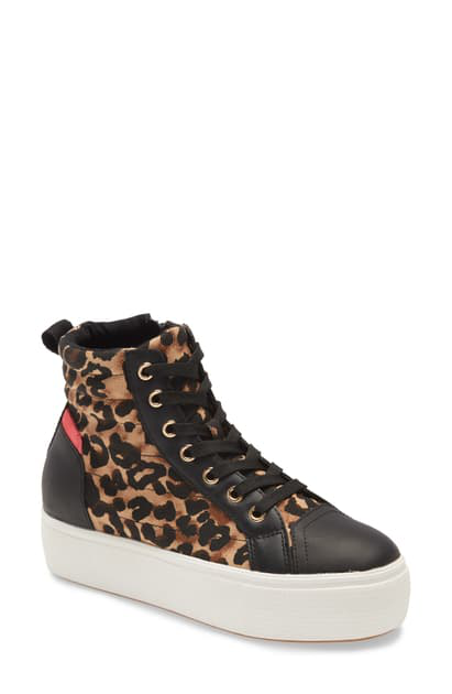 steve madden leopard high tops