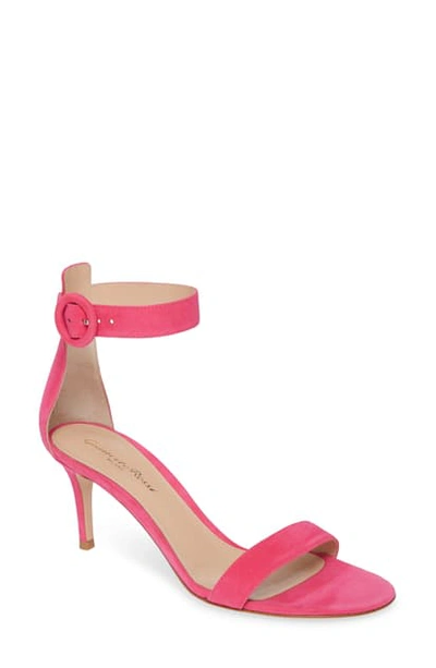 Shop Gianvito Rossi Ankle Strap Sandal In Pink