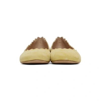 Shop Chloé Chloe Yellow Suede Lauren Flats In 753 Powder