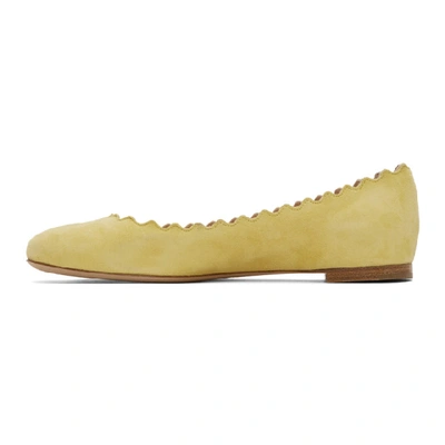 Shop Chloé Chloe Yellow Suede Lauren Flats In 753 Powder