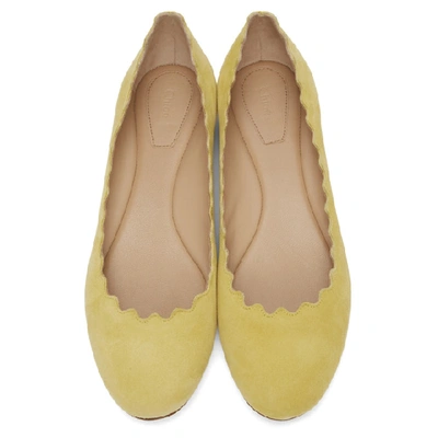 Shop Chloé Chloe Yellow Suede Lauren Flats In 753 Powder