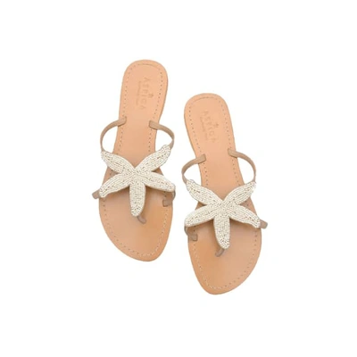 Shop Aspiga Starfish Sandals White