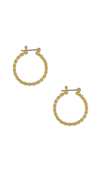 Shop Amber Sceats Mini Cuban Link Hoops In Gold