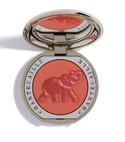 Shop Chantecaille Cheek Shade