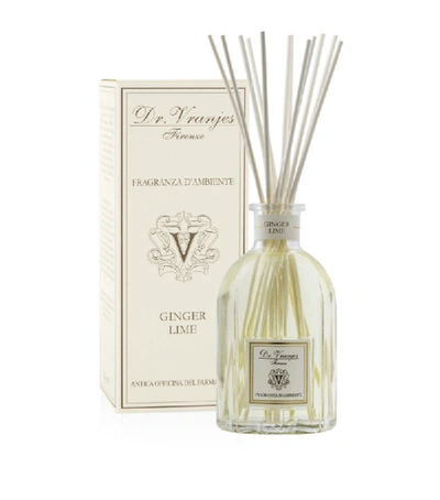 Shop Dr Vranjes Firenze Ginger Lime Fragrance Diffuser (250ml) In Beige