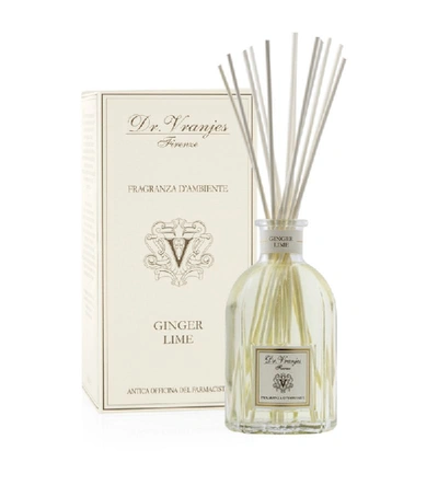 Shop Dr Vranjes Firenze Ginger Lime Fragrance Diffuser (500ml) In Beige