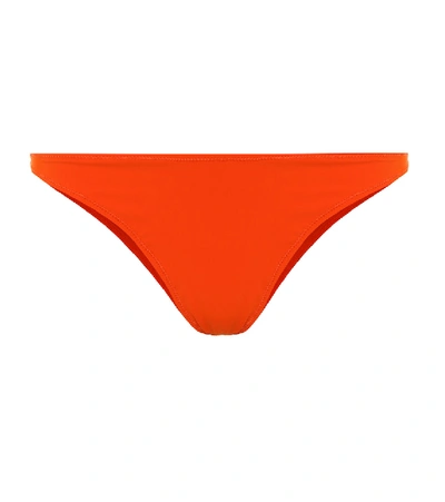 Shop Tropic Of C Curve Bikini Bottoms In Red