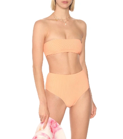 Jade Swim Bound Bikini Bottoms In Orange