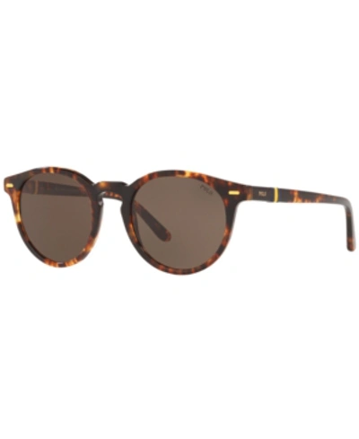 Shop Polo Ralph Lauren Sunglasses, Ph4151 50 In New Jerry Tortoise/brown