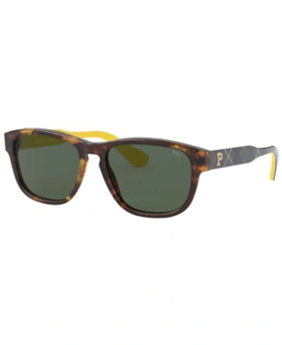 Shop Polo Ralph Lauren Sunglasses, Ph4158 55 In New Jerry Tortoise/green
