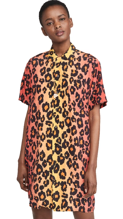 Shop R13 Skater Shirtdress In Ombre Leopard