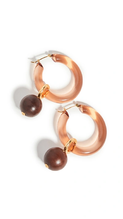 Shop Lizzie Fortunato Spritz Hoop Earrings In Caramel