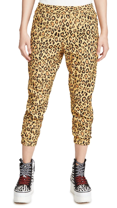 Shop R13 Harem Joggers In Yellow Leopard