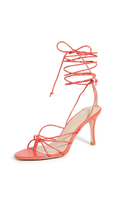 Shop Villa Rouge Aries Sandals In Fiery Red