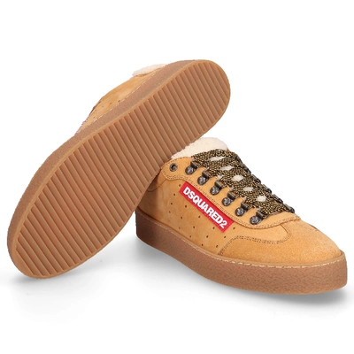 Shop Dsquared2 Low-top Sneakers Ted Nubuck In Beige